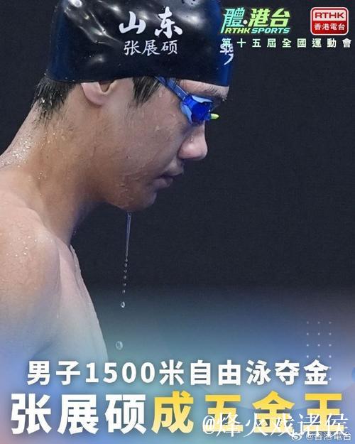 张展硕加冕“五金王” 汪顺全运会金牌总数达19枚